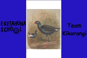 Kikorangi Flag